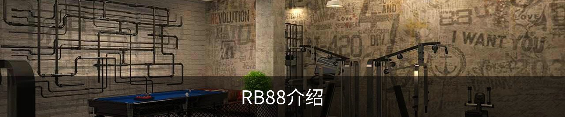 RB88介绍